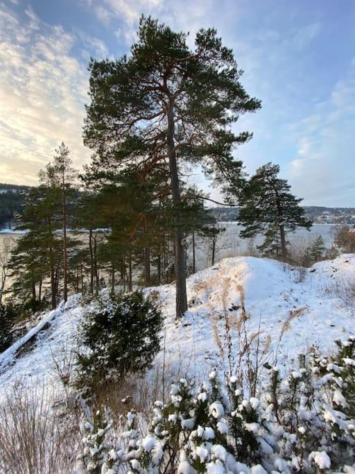 Kunstnerhytte Med Panoramautsikt Pa Furuholmen Villa Sarpsborg Eksteriør bilde