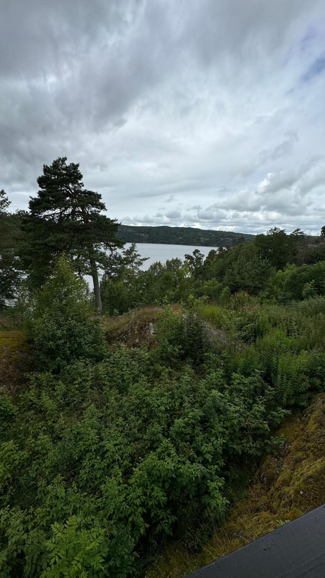 Kunstnerhytte Med Panoramautsikt Pa Furuholmen Villa Sarpsborg Eksteriør bilde